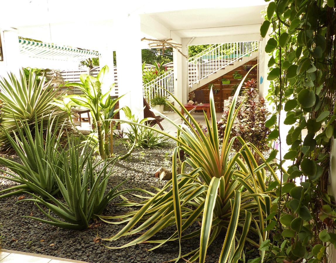 Gites Rose Des Vents Deshaies Exterior photo